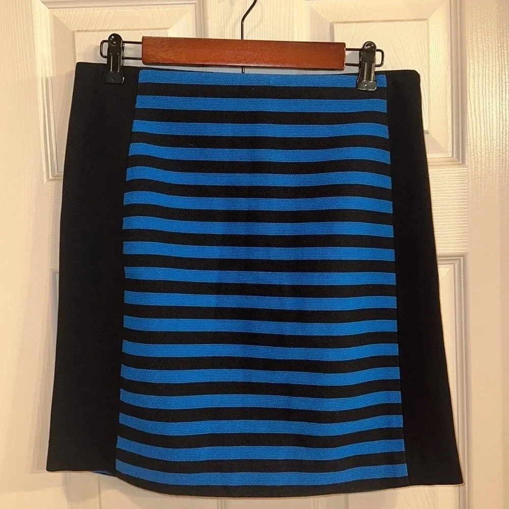 EUC Ann Taylor Black & Blue Striped Skirt (6)